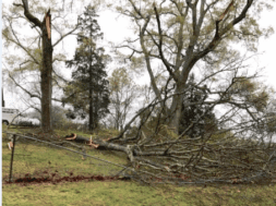 storm damage_0