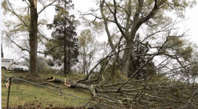 storm damage_0