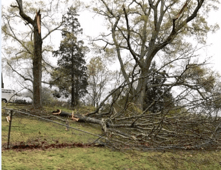 Tornado confirmed along Greenville/Pickens county line