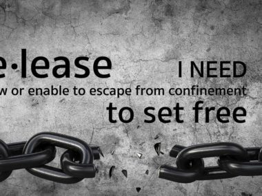 Release | The Church Choir | Official Video