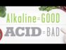 Dr. Daryl Gioffre is on a MISSION to help you GET OFF YOUR ACID!