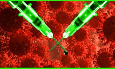 1cd9d119-caa9-4098-90ba-78f4914ee765-large