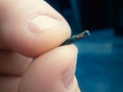 swedenmicrochipimplantap_hdv