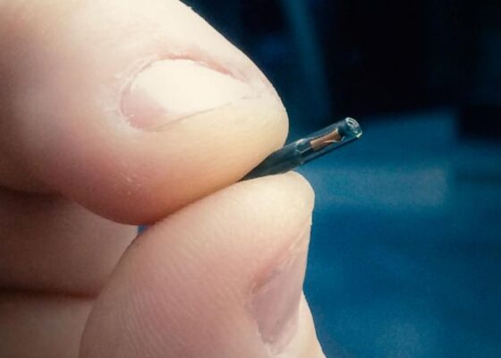 swedenmicrochipimplantap_hdv