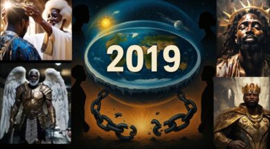 Why Did 2019 Change Everything?