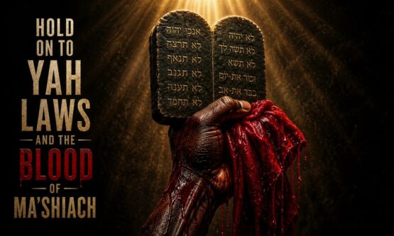 HezekiYah – John 8:24