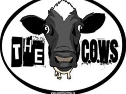 the cow