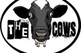 the cow