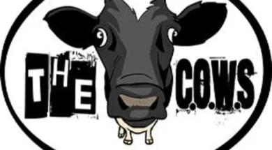 the cow