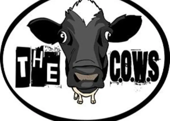 the cow