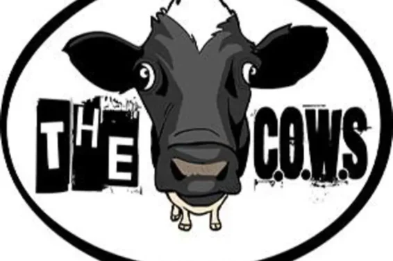 the cow